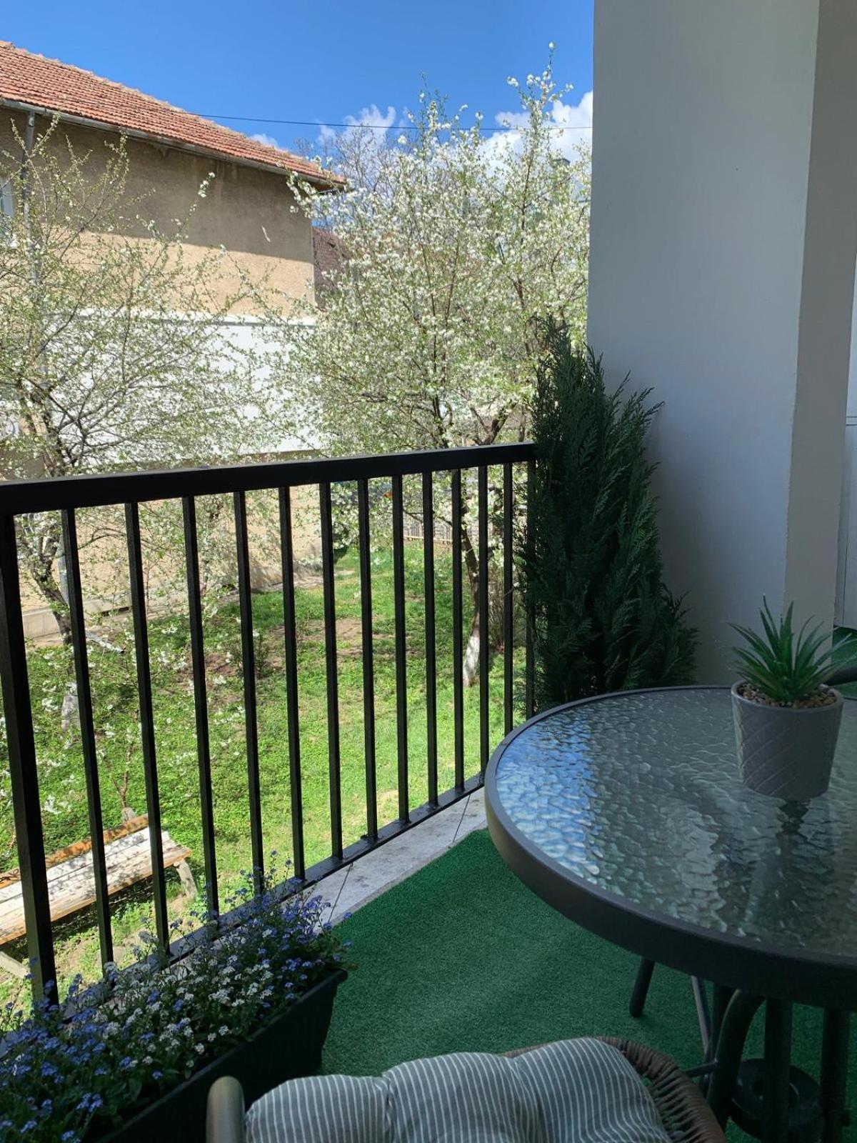 פיאטרה ניאמט Rose Apartment מראה חיצוני תמונה